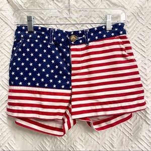 Chubbies brand American flag shorts